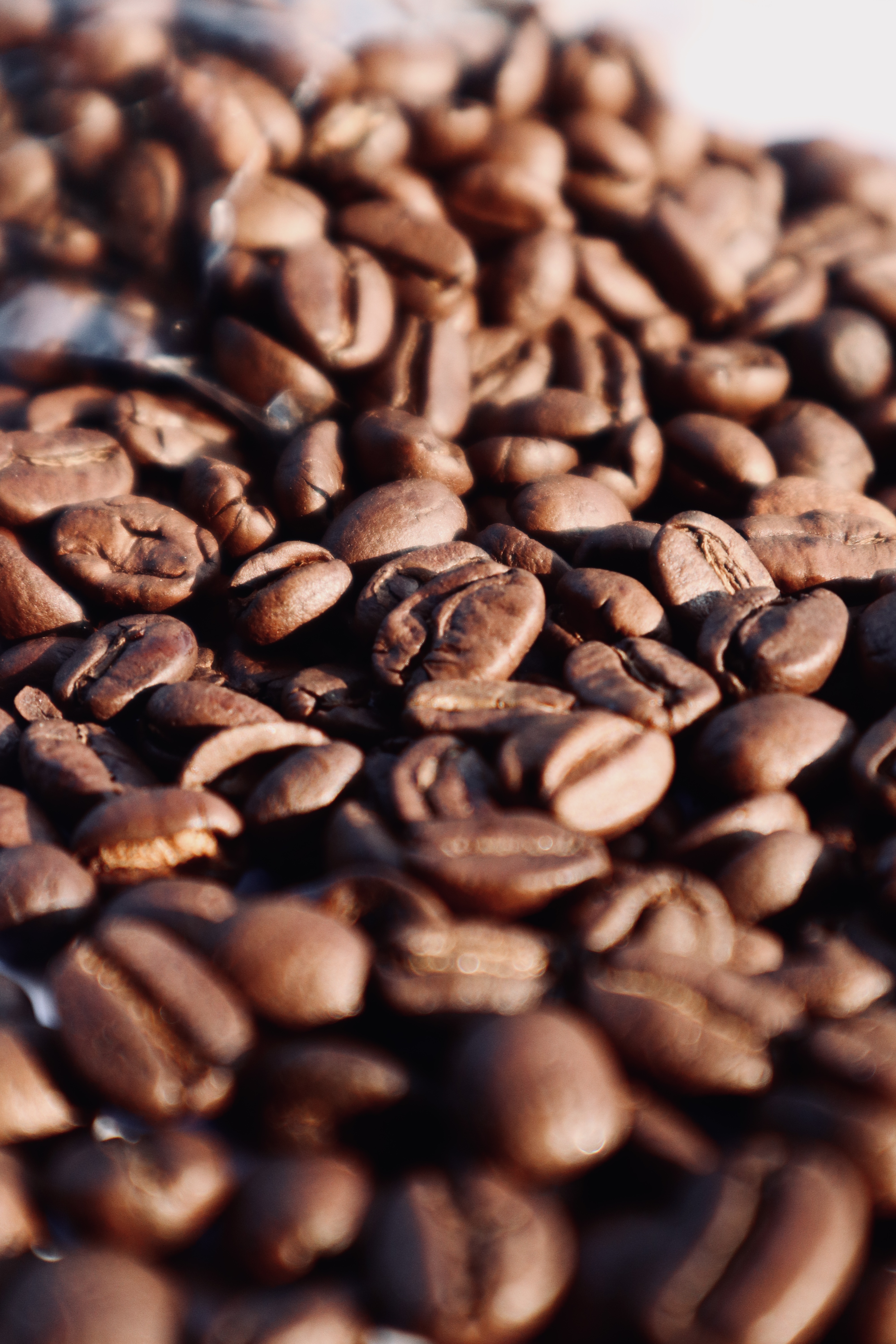 Roasted Beans